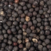 Thumbnail for patriot seeds dwarf siberian seeds closeup