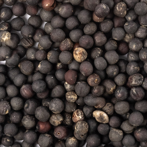 Image of patriot seeds dwarf siberian seeds closeup
