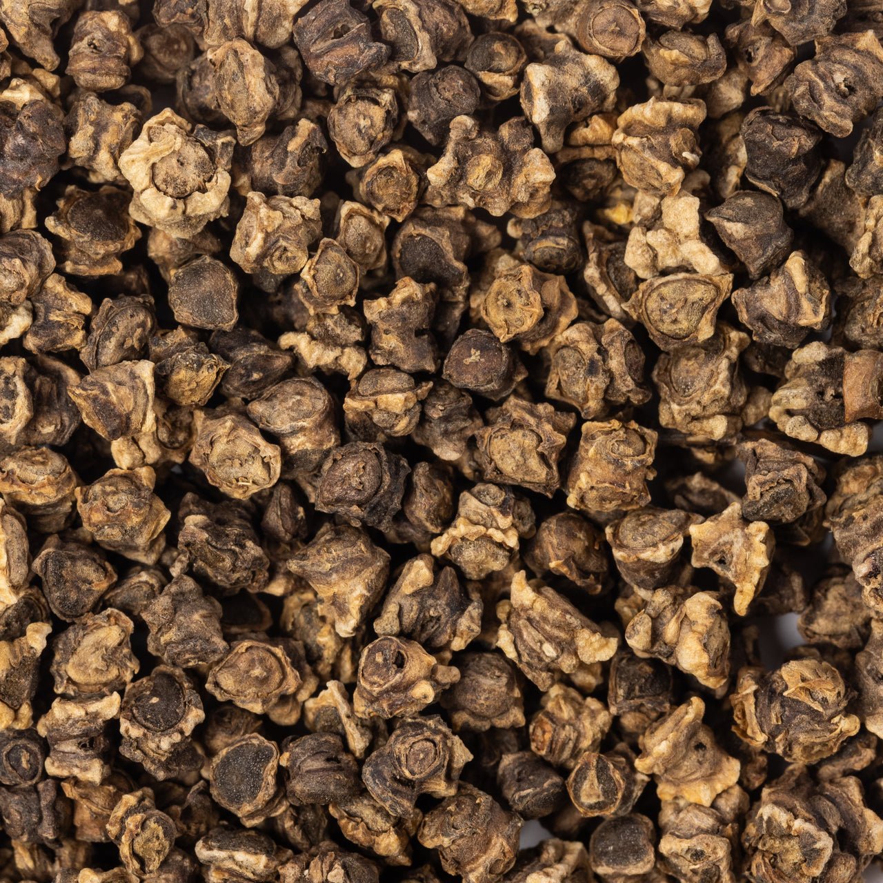 closeup beet seeds