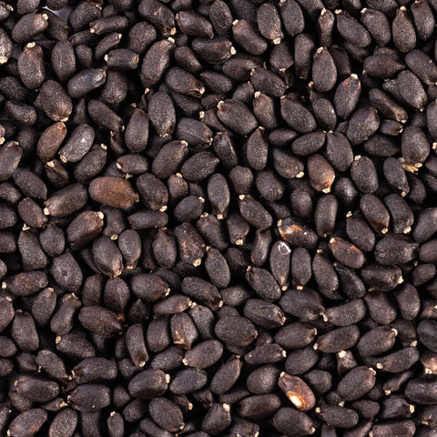 Image of patriot seeds genovese basil seeds closeup