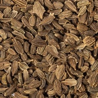 Thumbnail for little finger patriot seeds close up