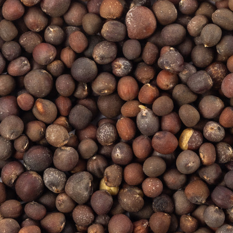 Image of long island brussels sprouts improved seeds closeup