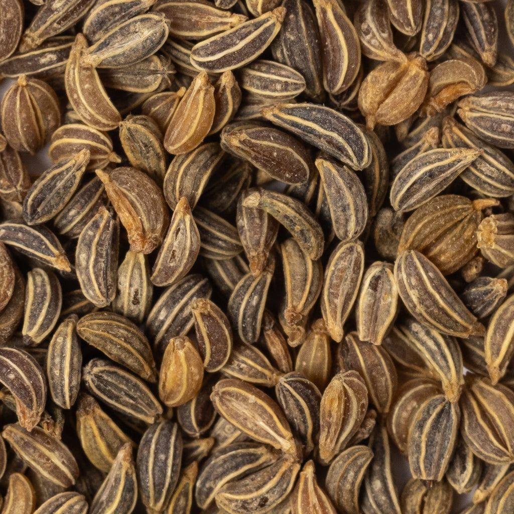 Heirloom Plain or Single Parsley Herb Seeds (1g) by Patriot Seeds Closeup