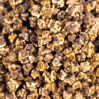 Thumbnail for Heirloom Detroit Dark Red Beet Seeds (5g) by Patriot Seeds