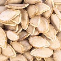 Thumbnail for Heirloom Waltham Butternut Squash Seeds (10g) by Patriot Seeds