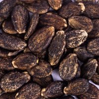Thumbnail for Heirloom Crimson Sweet Watermelon Seeds (3g) by Patriot Seeds