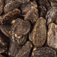 Thumbnail for Heirloom Sugar Baby Watermelon Seeds (3g) by Patriot Seeds Closeup