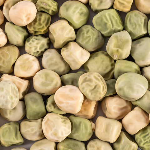 Image of Heirloom Sugar Snap Pea Seeds (24g) by Patriot Seeds Closeup