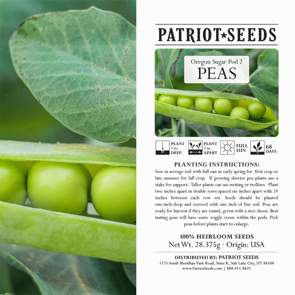 Heirloom Oregon Sugar Pod #2 Pea Seeds (28.375g) by Patriot Seeds