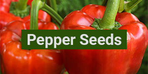 My Patriot Supply: Pepper Seeds