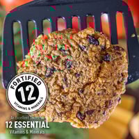 Thumbnail for Ready Hour's Black Bean Burger Mix with 12 Essential Vitamins & Minerals