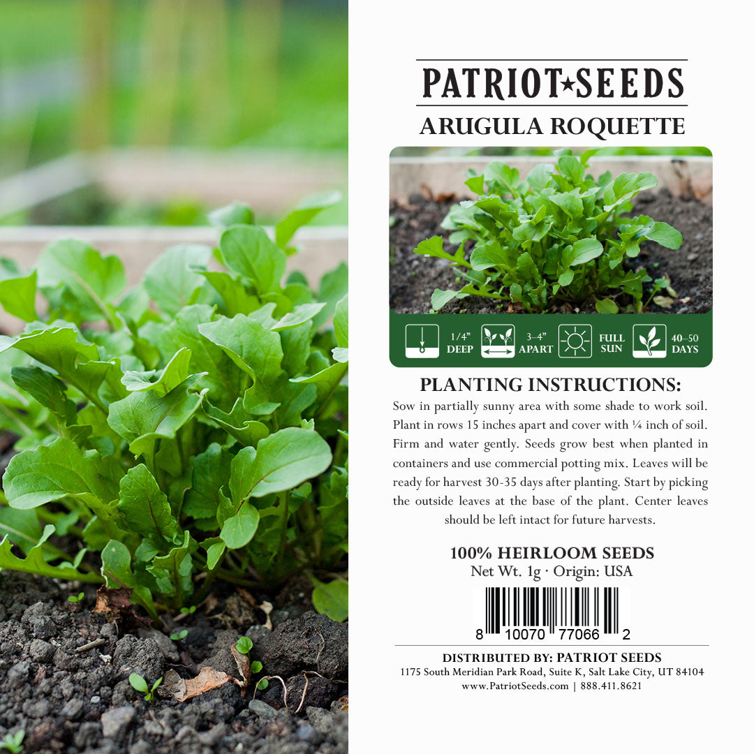 arugula plant seeds Herbs: Arugula Roquette (1g)- Heirloom, Non-GMO Seeds