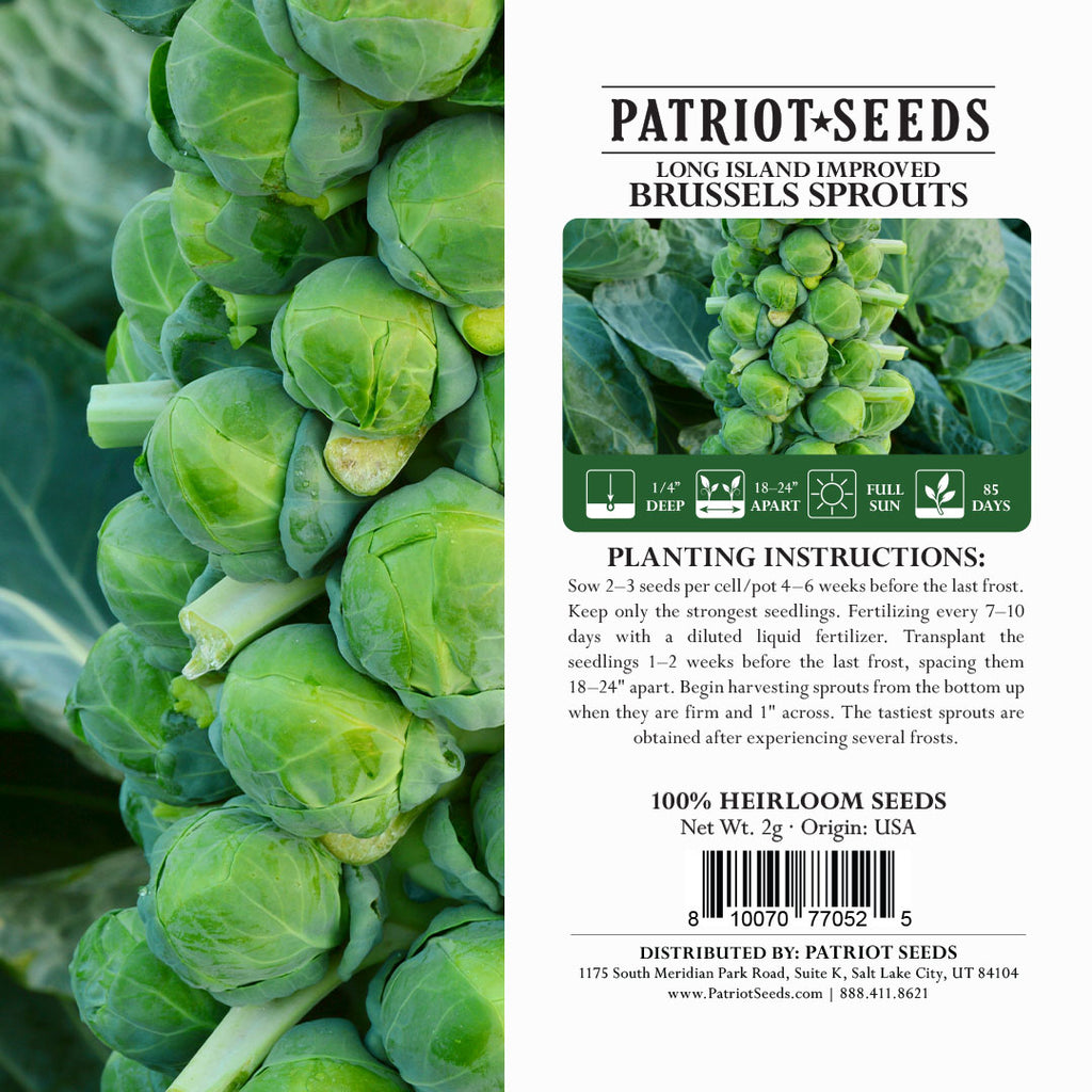 Heirloom Long Island Improved Brussels Sprouts Seeds (1g) by Patriot Seeds