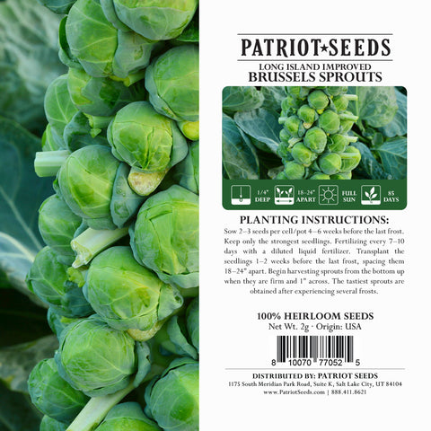 Image of Heirloom Long Island Improved Brussels Sprouts Seeds (1g) by Patriot Seeds