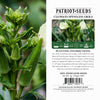 Image of Heirloom Clemson Spineless Okra Seeds (4g) by Patriot Seeds