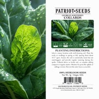 Thumbnail for Heirloom Georgia Southern Collards Seeds (3g) by Patriot Seeds