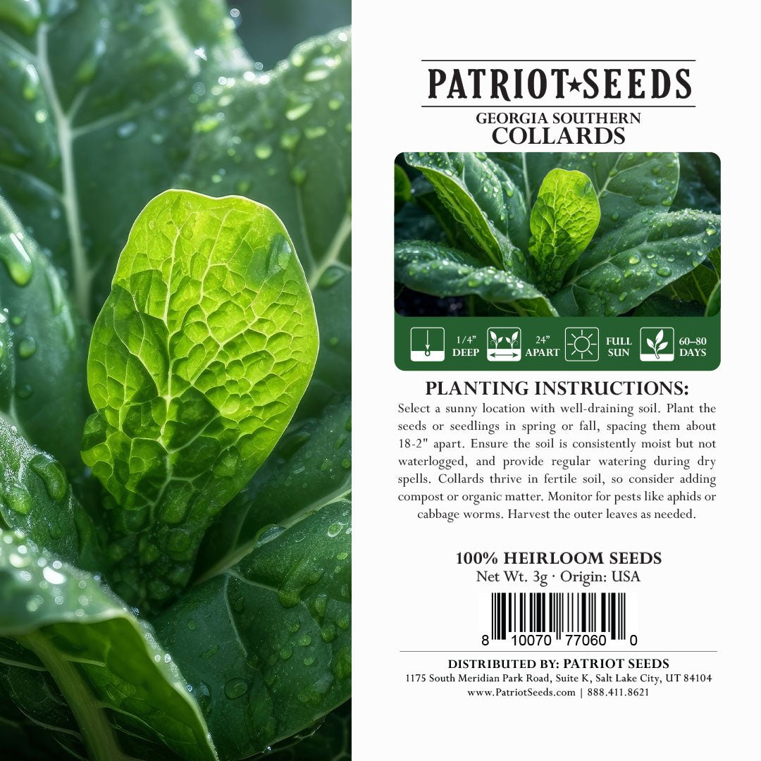 Heirloom Georgia Southern Collards Seeds (3g) by Patriot Seeds