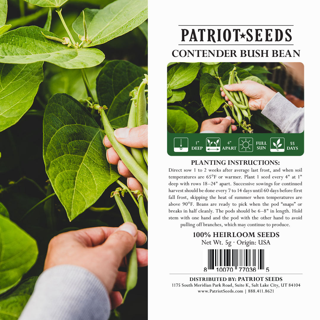 Top Crop Bush Bean Seeds - Heirloom, Non-GMO, 20+ Seeds For Easy Home Gardening