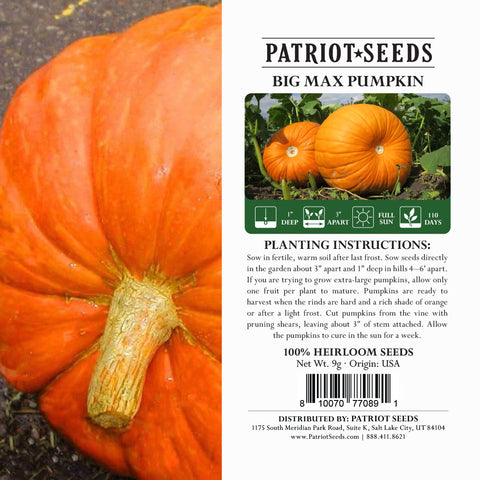 Image of big max pumpkins package label