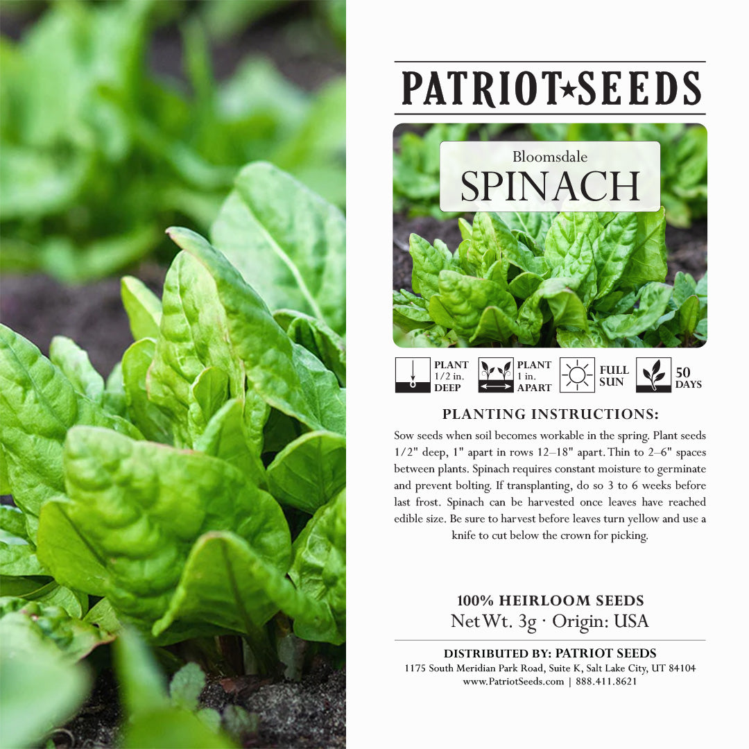 Bloomsdale Spinach (3g)- Heirloom, Non-GMO Seeds