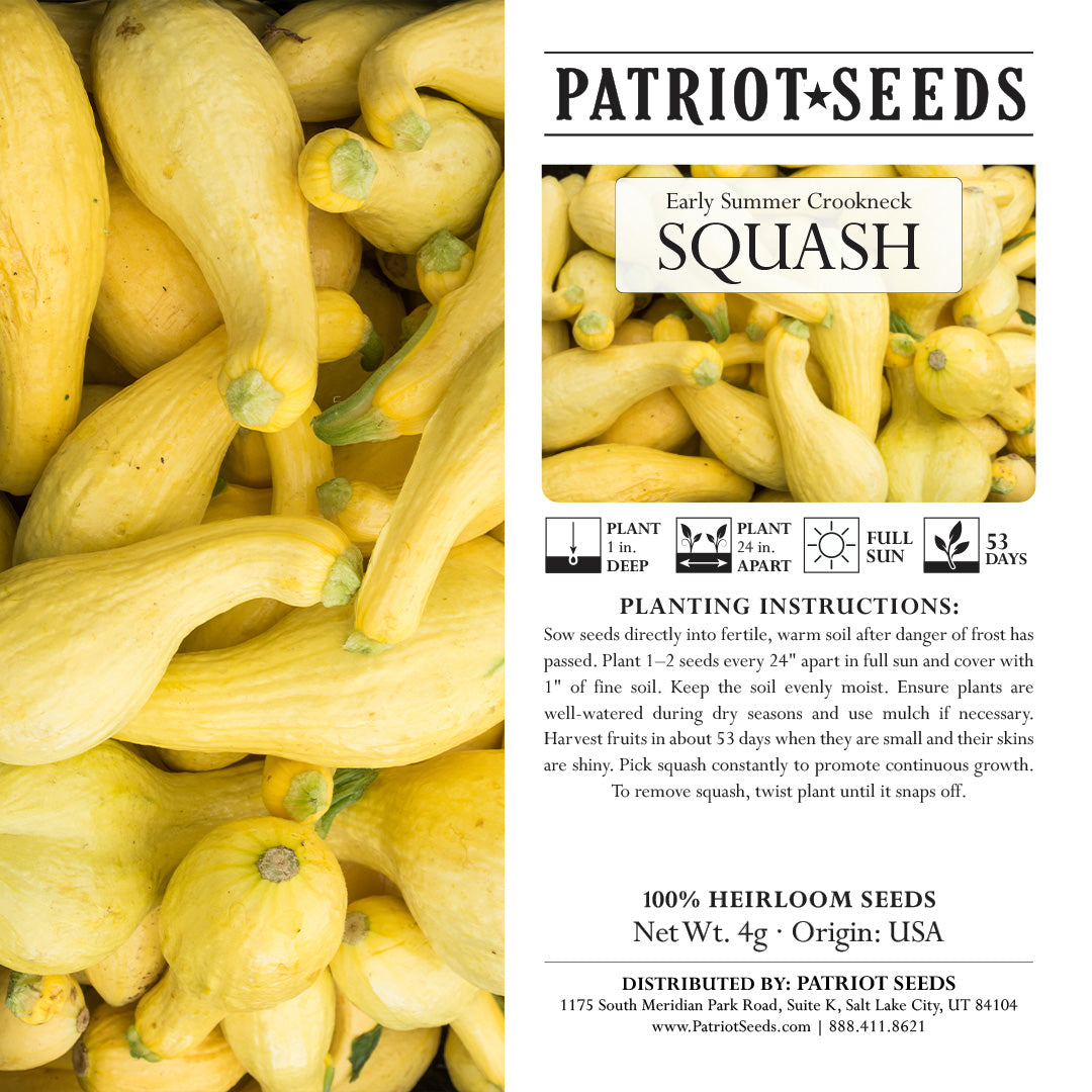 Early Summer Squash: Crookneck Squash Seeds (4g) - Heirloom