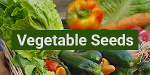 My Patriot Supply: Vegetable Seeds