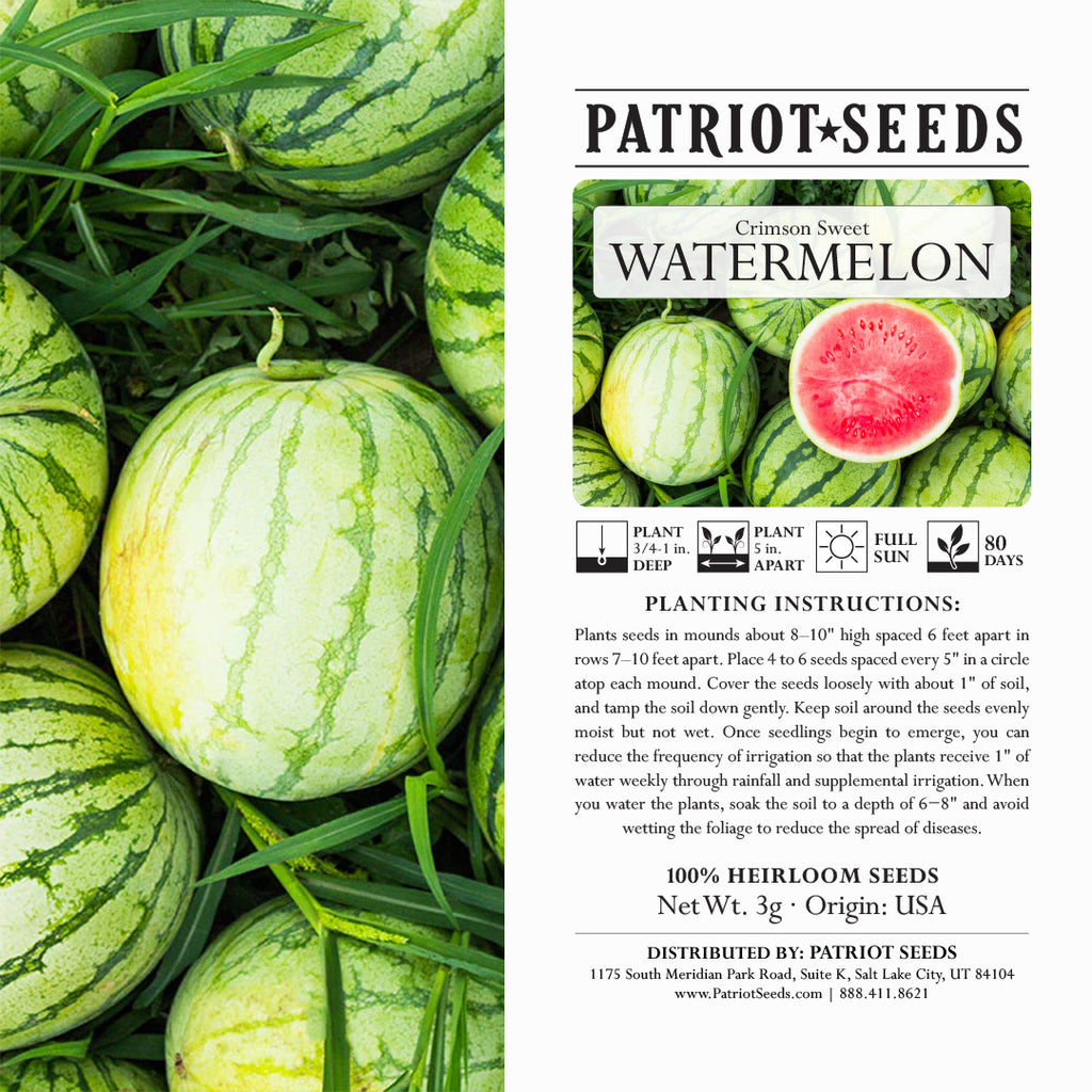 Heirloom Crimson Sweet Watermelon Seeds (3g) by Patriot Seeds