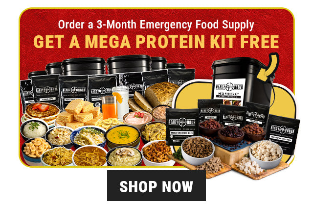 What Food Survival Kit: Essential Items for Emergencies