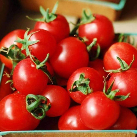 Large Red Cherry Tomato Seeds (250mg) - My Patriot Supply