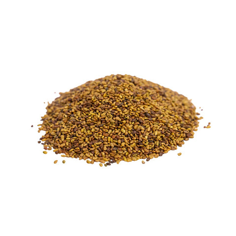 Image of Organic Alfalfa Sprouting Seeds by Patriot Seeds (4 ounces)