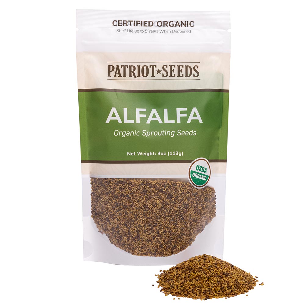 Organic Alfalfa Sprouting Seeds by Patriot Seeds (4 ounces)