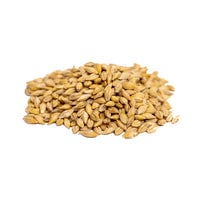 Thumbnail for Organic Barley Grass Sprouting Seeds by Patriot Seeds (8 ounces)