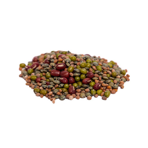 Image of Organic Bean Salad Mix Sprouting Seeds by Patriot Seeds (4 ounces)