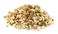 Thumbnail for Organic Bean Salad Mix Sprouting Seeds by Patriot Seeds (4 ounces)