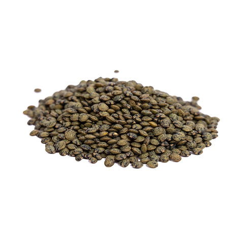 Image of Organic Green Lentil Sprouting Seeds by Patriot Seeds (4 ounces)