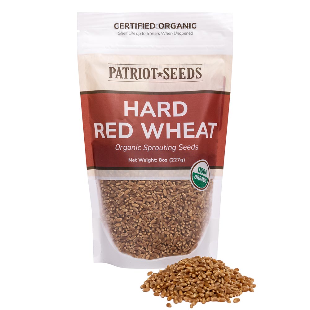 wheat berry seeds for planting Organic Hard Red Wheat Sprouting Seeds Pack by Patriot Seeds
