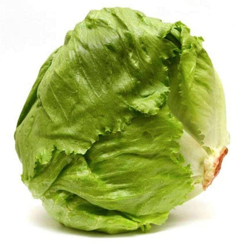 Image of Iceberg - Head Lettuce Seeds (1g) - My Patriot Supply
