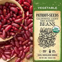 Thumbnail for Organic California Light Red Kidney Beans (28g) - My Patriot Supply