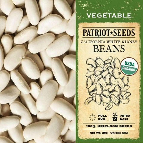 Image of Organic California White Kidney Beans (28g) - My Patriot Supply