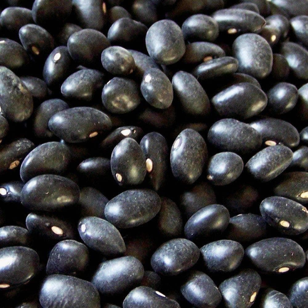Discontinued - Black Turtle Beans (10g) - My Patriot Supply