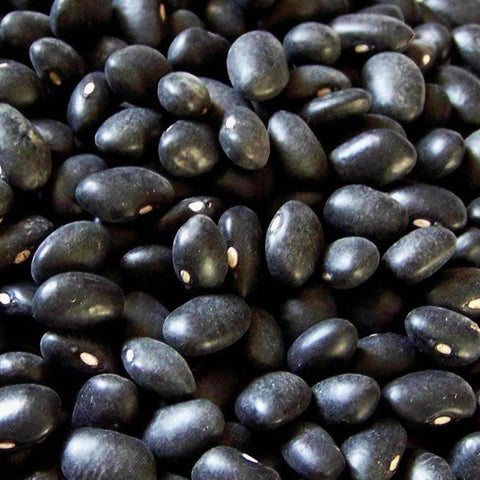 Image of Discontinued - Black Turtle Beans (10g) - My Patriot Supply