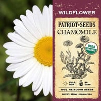 Thumbnail for Organic Chamomile Herb Seeds (250mg) - My Patriot Supply