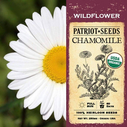 Image of Organic Chamomile Herb Seeds (250mg) - My Patriot Supply