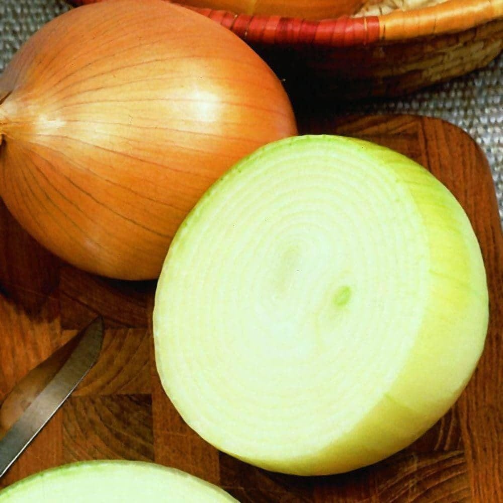 Walla Walla Onion Seeds (250mg) - My Patriot Supply