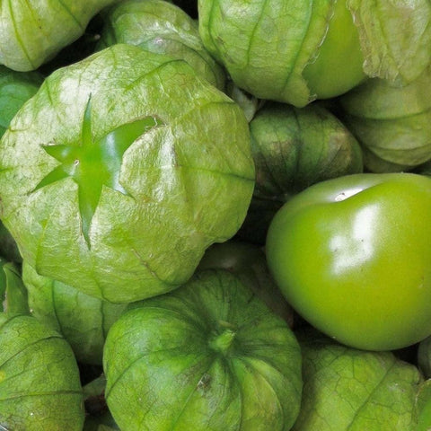 Image of Organic Grande Rio Verde Tomatillo Tomato Seeds (500mg) - My Patriot Supply