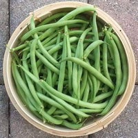 Thumbnail for Contender Bush Beans (20g) - My Patriot Supply