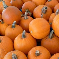 Thumbnail for Small Sugar Pumpkin Seeds (4g) - My Patriot Supply