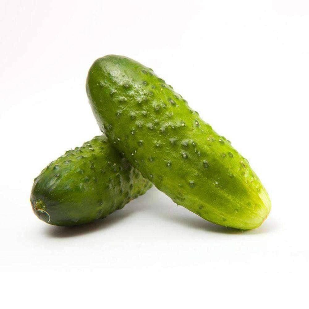 Boston Pickling Cucumber Seeds (3g) - My Patriot Supply