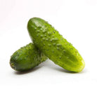 Boston Pickling Cucumber Seeds (3g) - My Patriot Supply