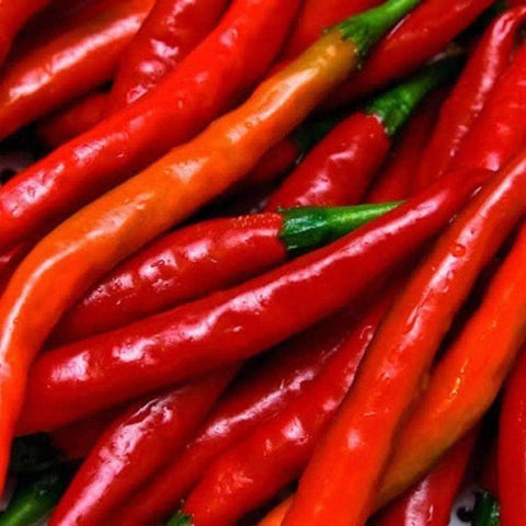 Image of Hot Cayenne Long Red Thin Pepper Seeds (250mg) - My Patriot Supply